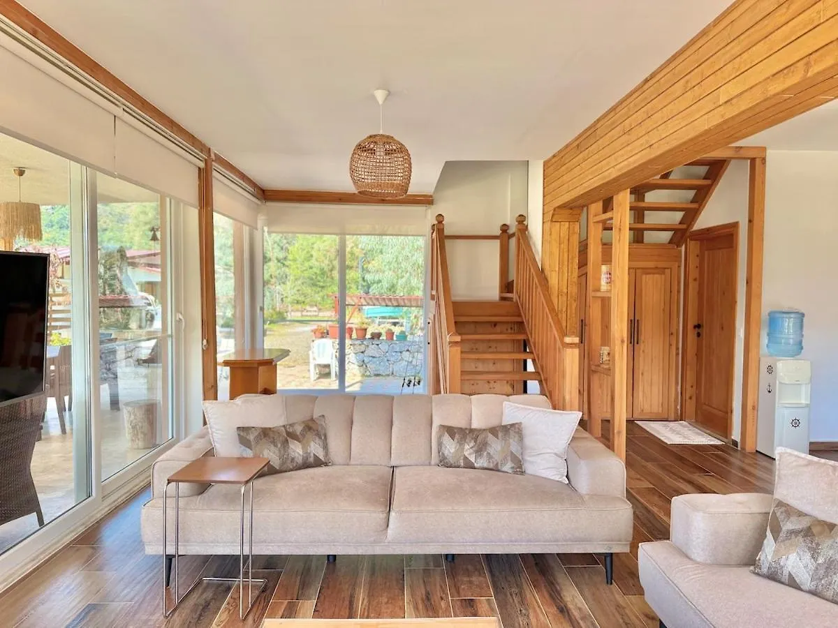 Big Villa With Pool In Marmaris