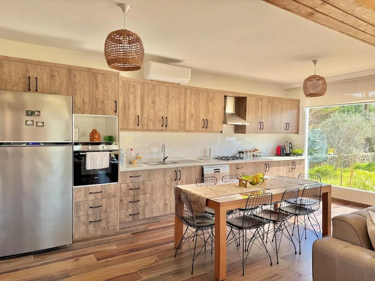 Big Villa With Pool In Marmaris