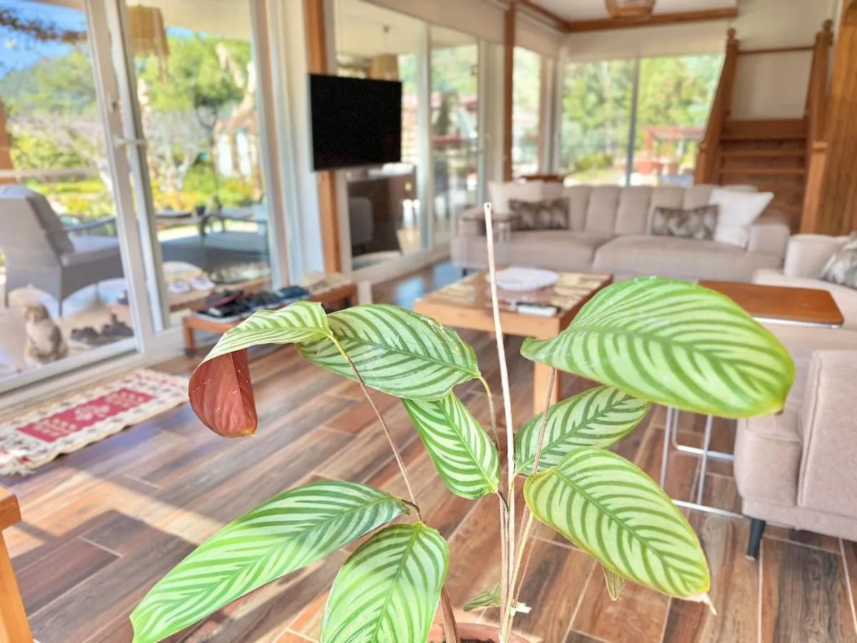 Big Villa With Pool In Marmaris