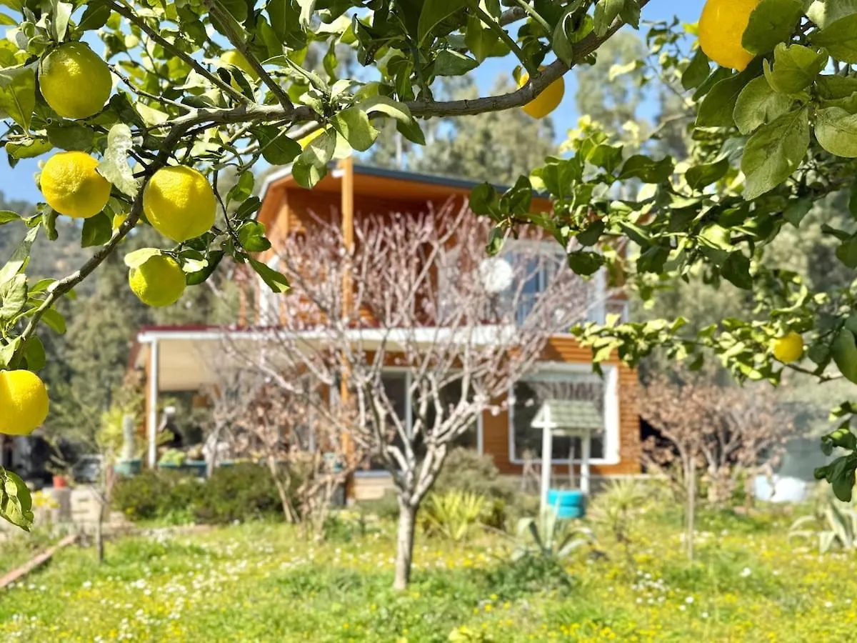 Big Villa With Pool In Marmaris Turcja