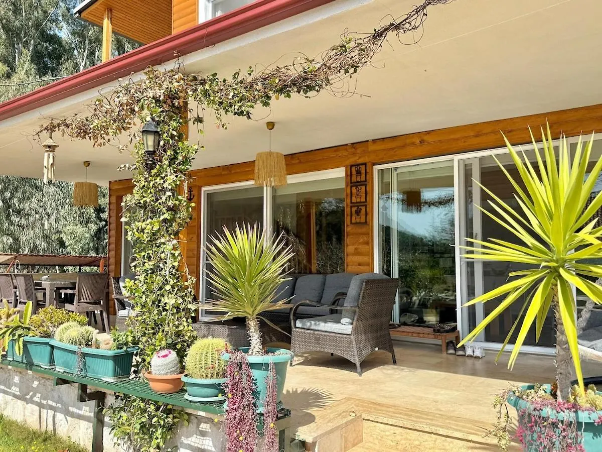 Big Villa With Pool In Marmaris Turcja