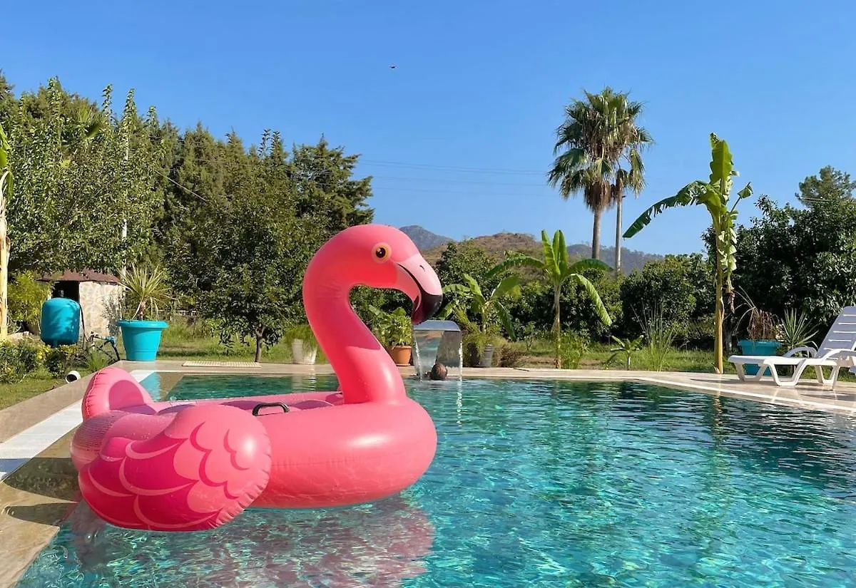 Big Villa With Pool In Marmaris 0*,
