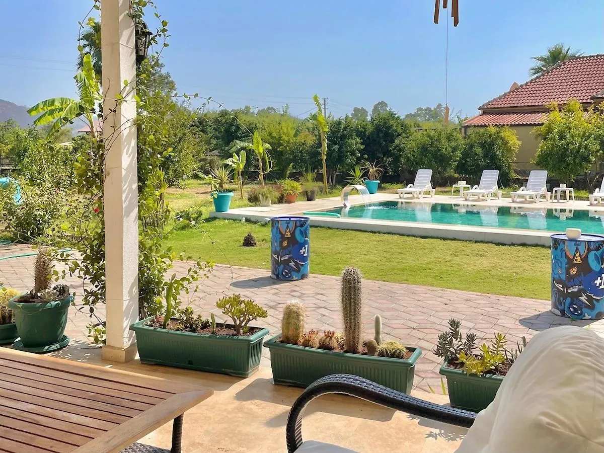 Big Villa With Pool In Marmaris