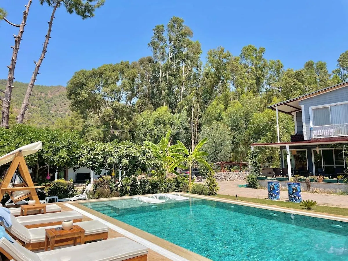 Big Villa With Pool In Marmaris