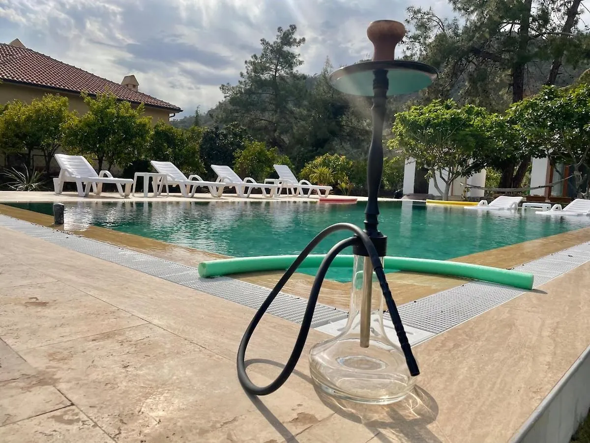 Big Villa With Pool In Marmaris Turcja