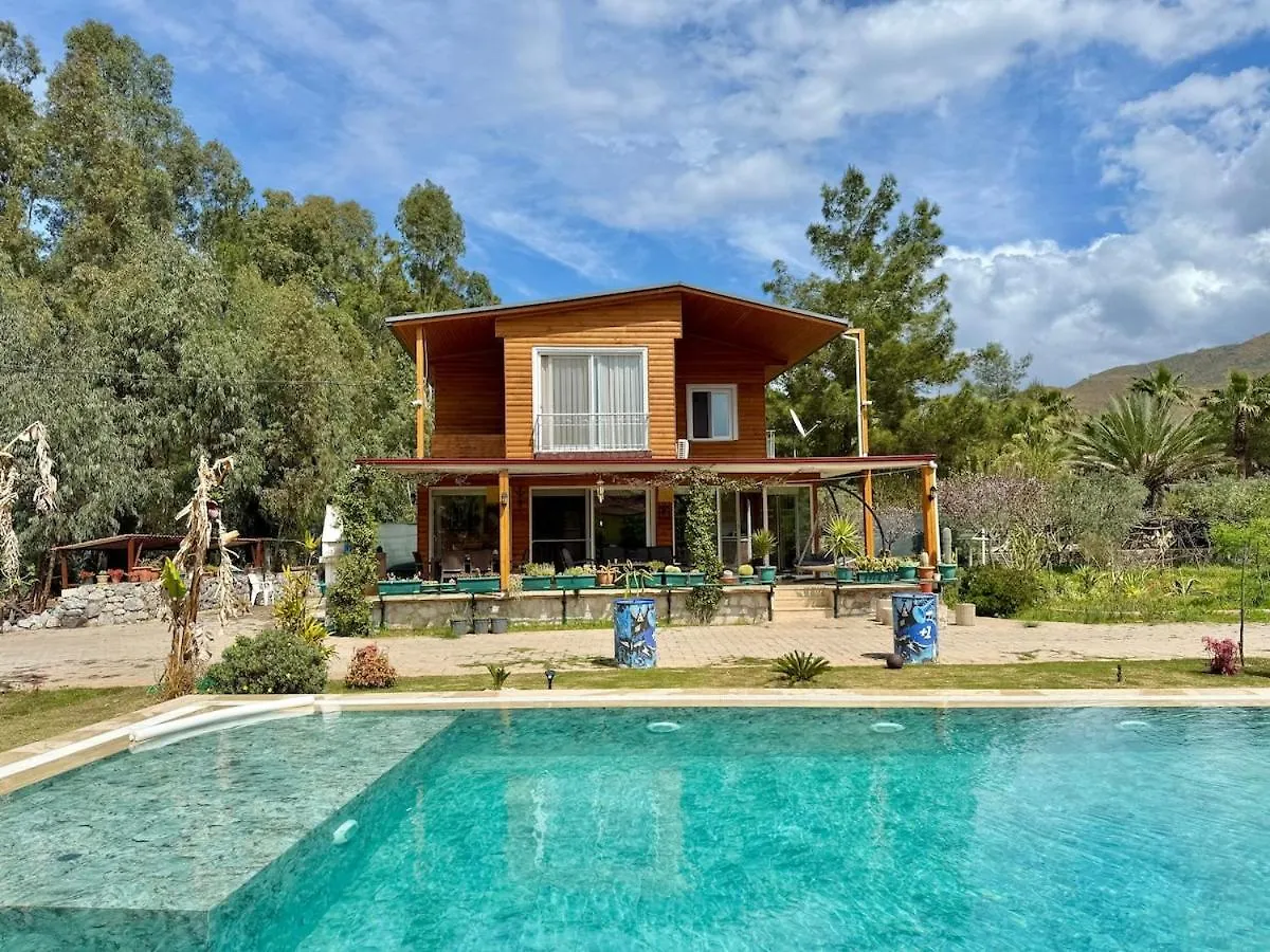 Big Villa With Pool In Marmaris Turcja